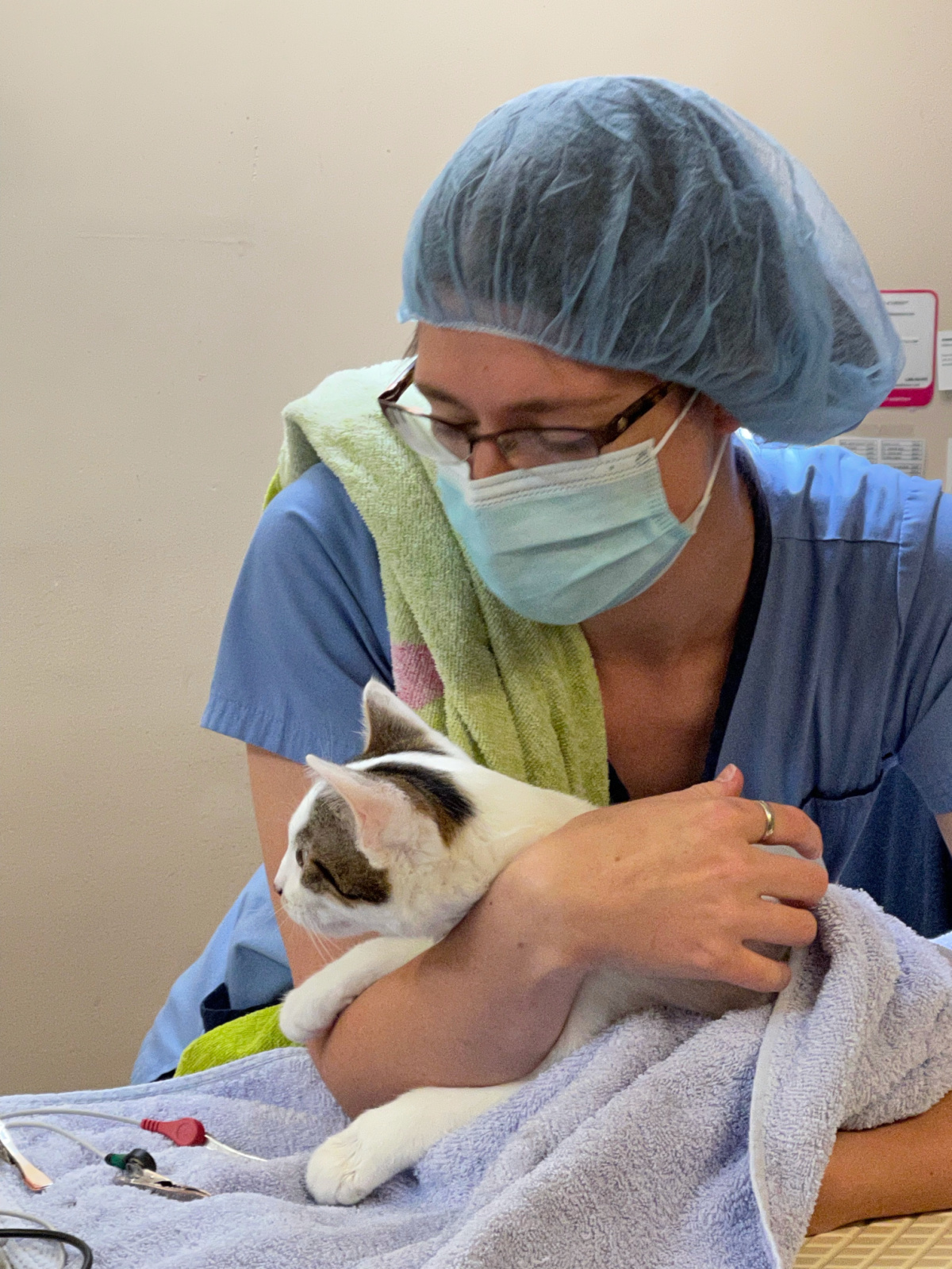Photo Essay: A Day in the Life of the Rainier Animal Fund In-Service Clinic  - Rainier Animal Fund