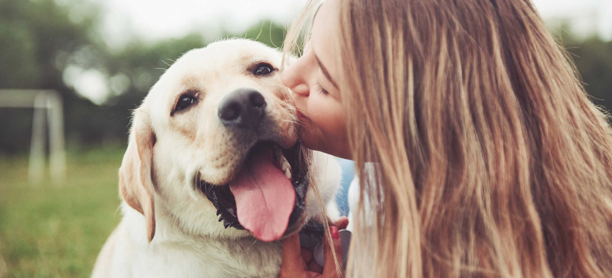 Frequently Asked Questions of the Rainier Animal Fund, Providing Low Cost and Free Veterinary Care to Seattle's Families and Pets in Need