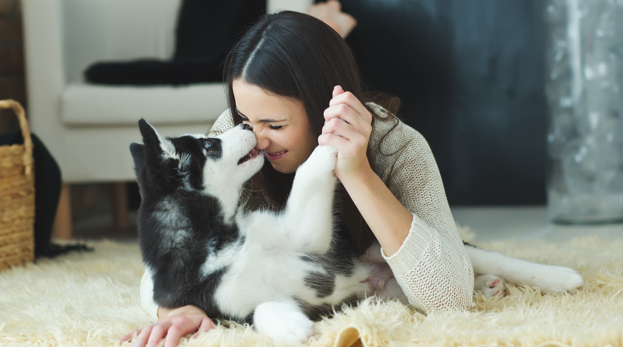 Resources for Pet Owners from the Rainier Animal Fund