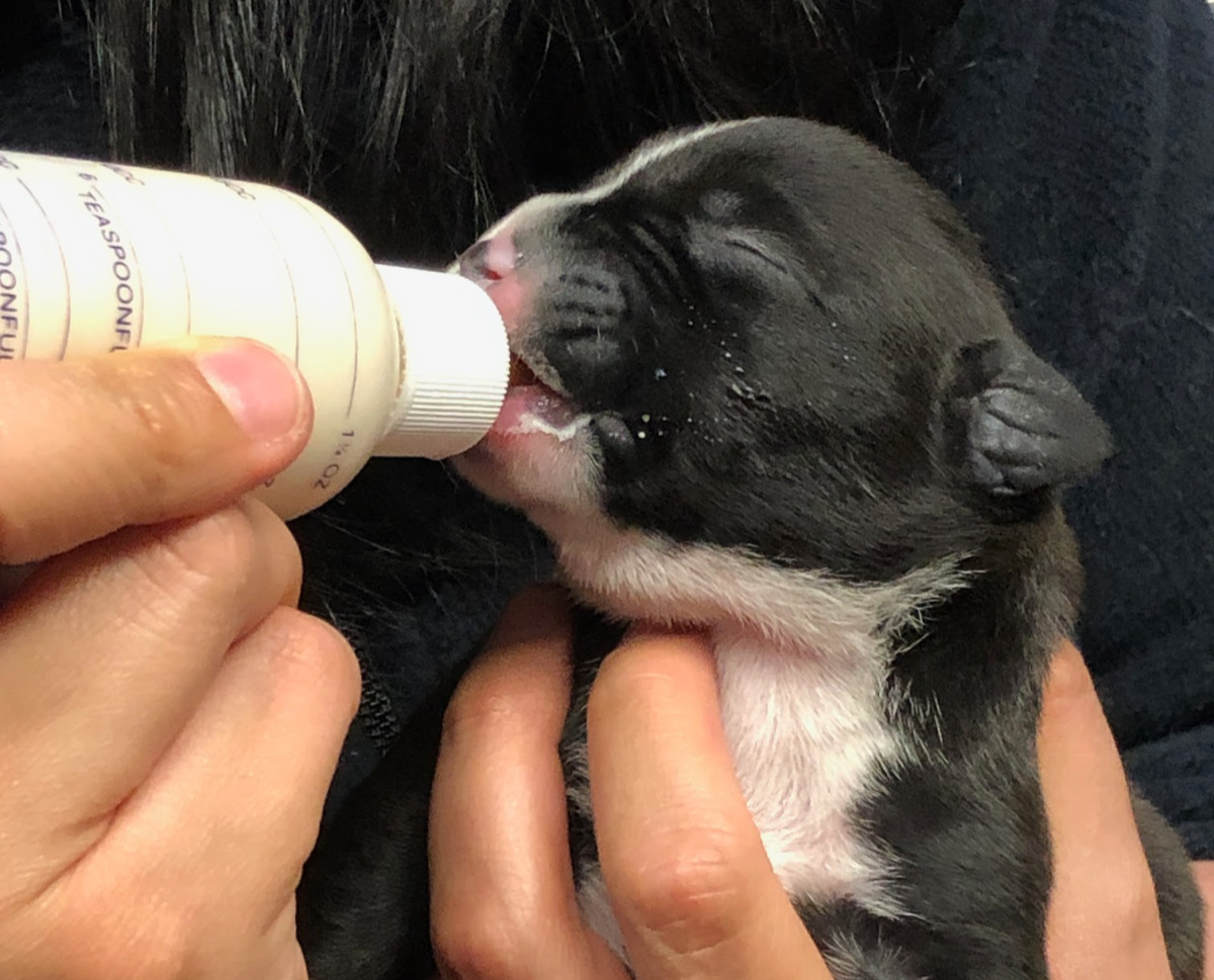 RAF-grant-success-story