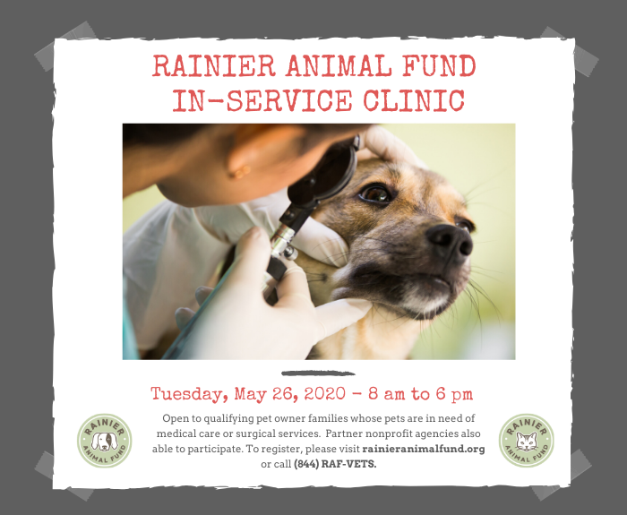 RAF In-Service Clinic