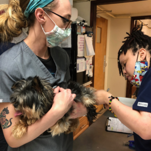 RAF In-Service May Clinic