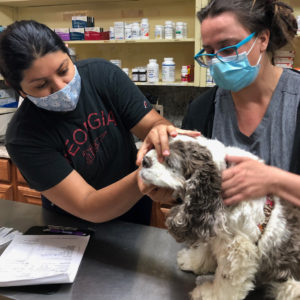 RAF In-Service June Clinic