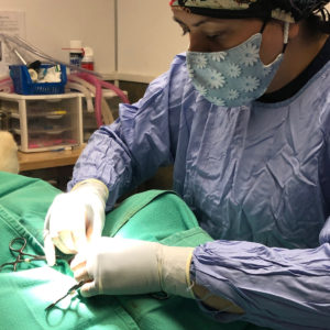 RAF In-Service June Clinic