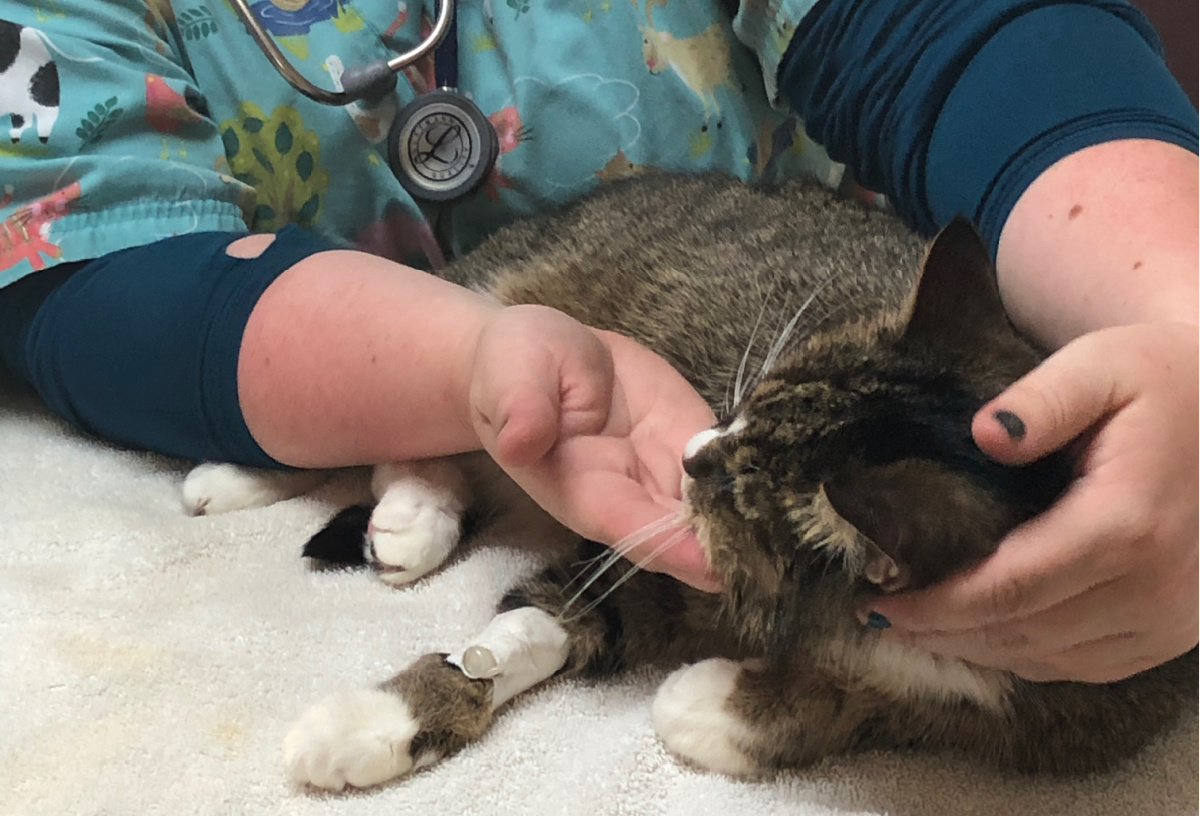 RAF In-Service June Clinic