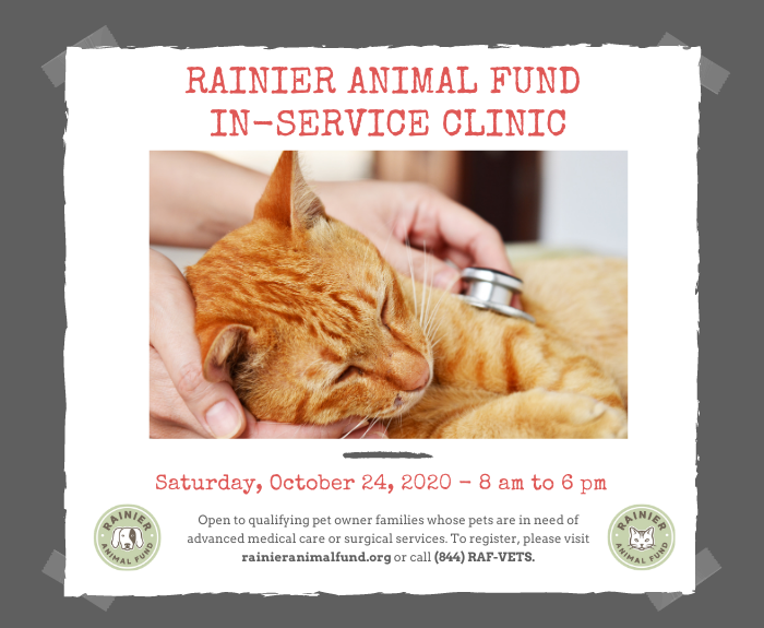 RAF In-Service October Clinic