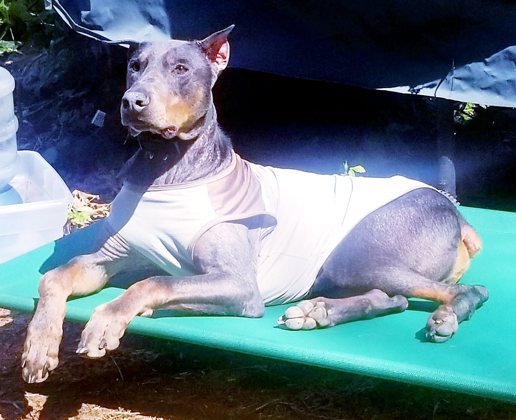 2020-11-30_Jack_success_story_raf