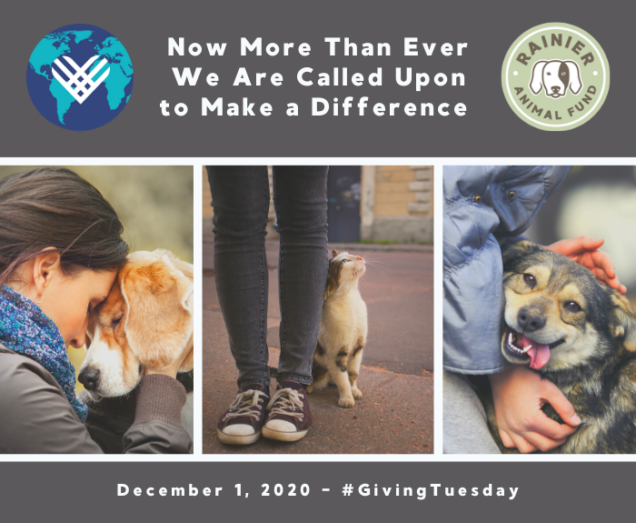 Rainier Animal Fund GivingTuesday 2020