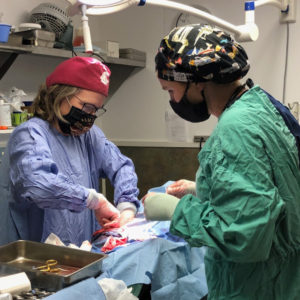 Rainier Animal Fund Success Story Jack November 2020