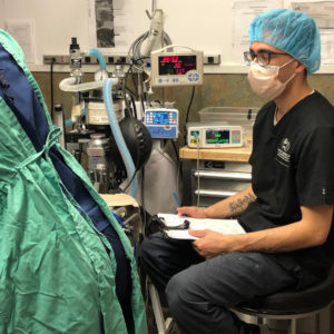 Rainier Animal Fund Success Story Jack November 2020