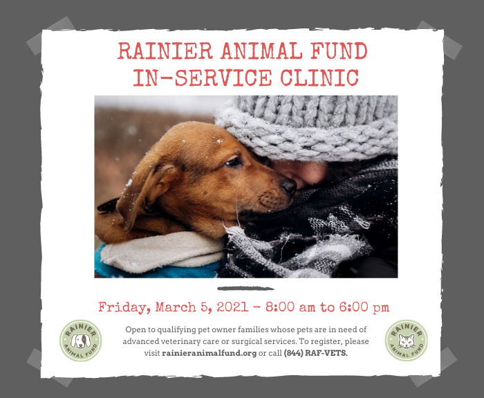 RAF In-Service March Clinic