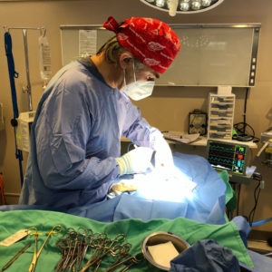 Rainier Animal Fund Success Story Korky May 2021