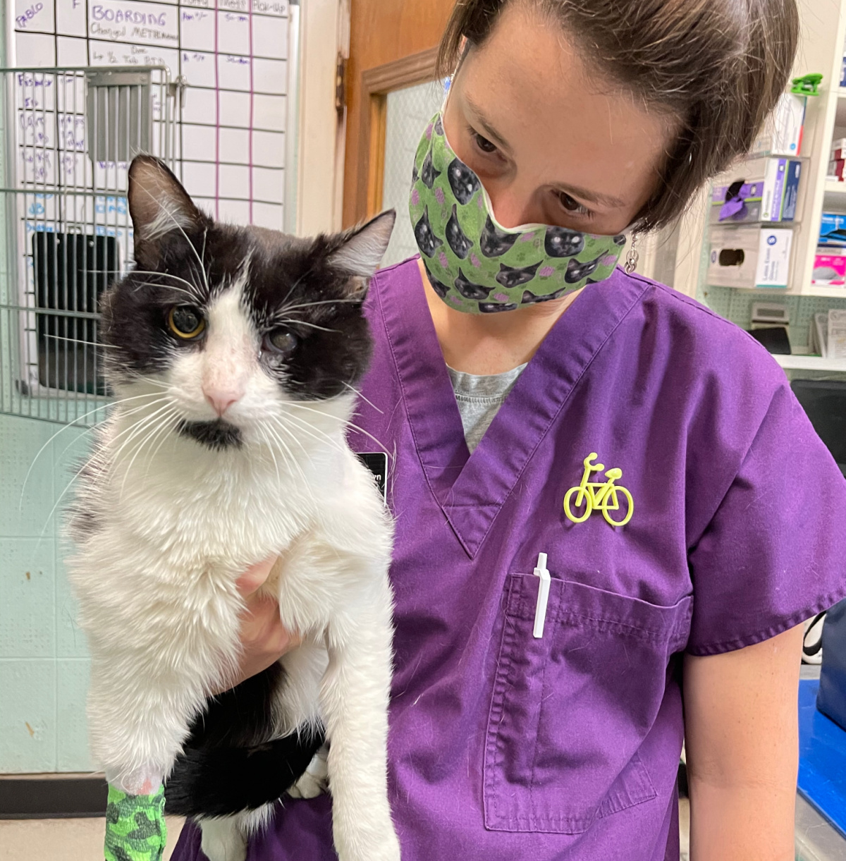 Rainier Animal Fund Success Story Korky May 2021