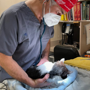 Rainier Animal Fund Success Story Korky May 2021