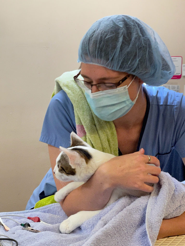 Rainier Animal Fund In-Service Clinic July 24, 2021