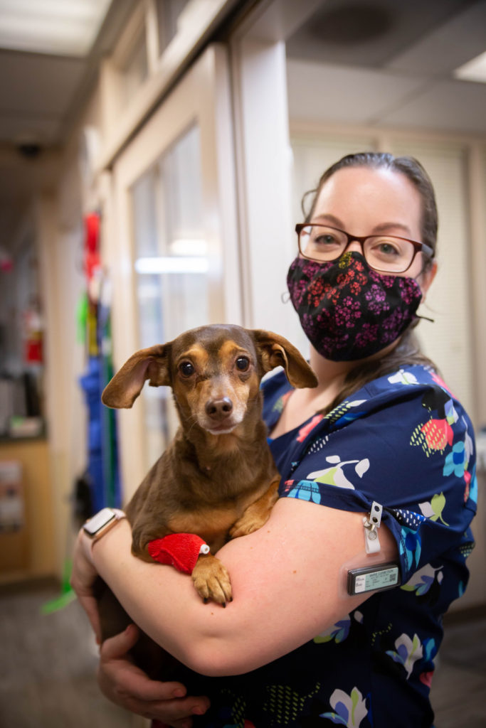 Rainier Animal Fund In-Service Clinic July 24, 2021