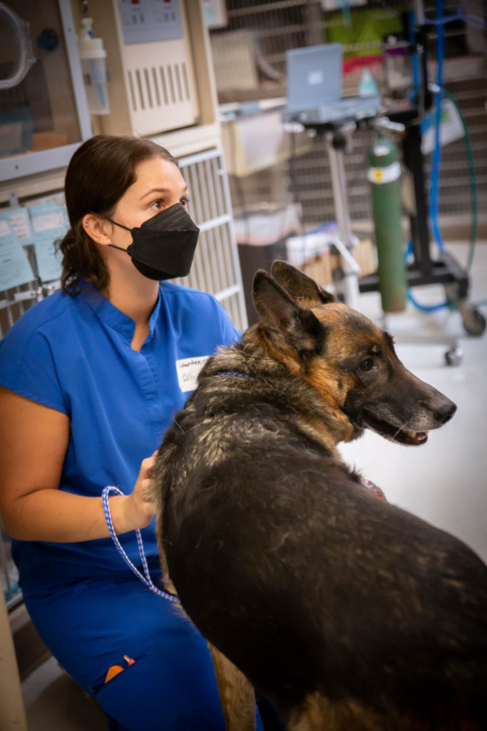 Rainier Animal Fund In-Service Clinic July 24, 2021