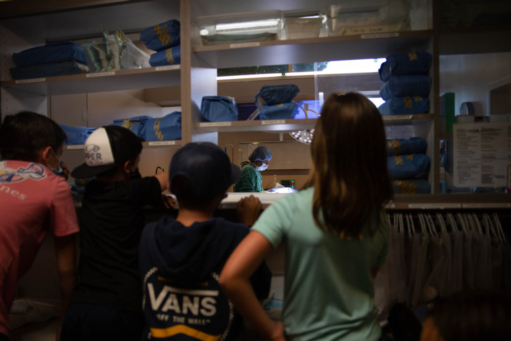 Rainier Animal Fund In-Service Clinic July 24, 2021