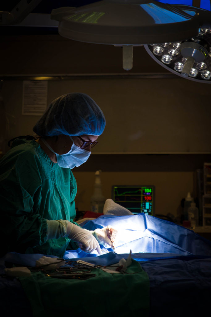 Rainier Animal Fund In-Service Clinic July 24, 2021