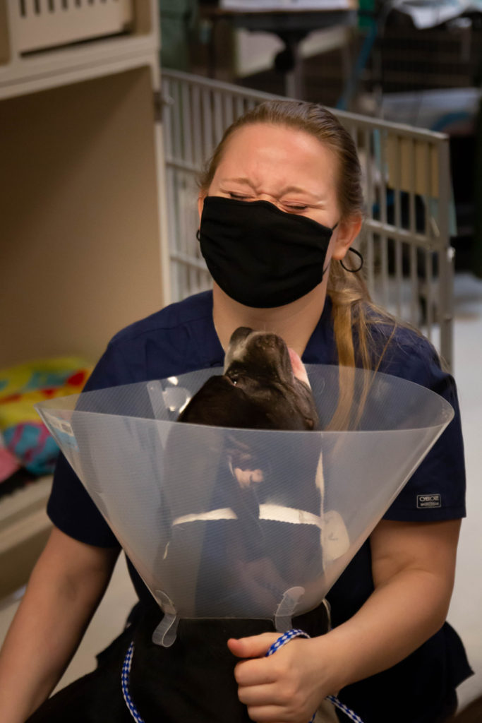 Rainier Animal Fund In-Service Clinic July 24, 2021
