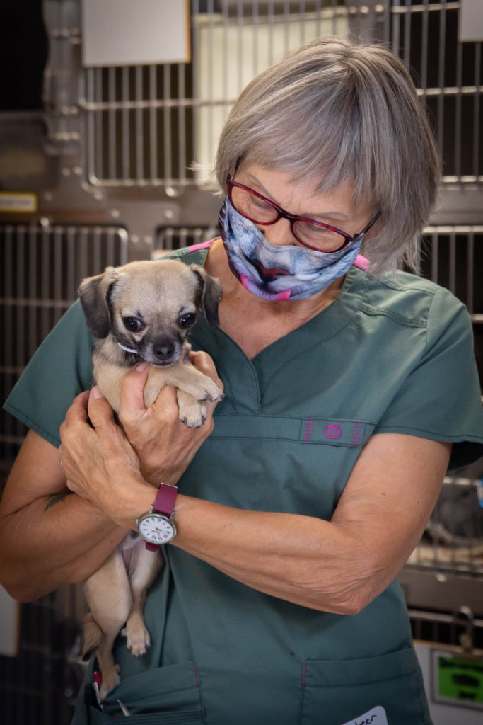 Rainier Animal Fund In-Service Clinic July 24, 2021