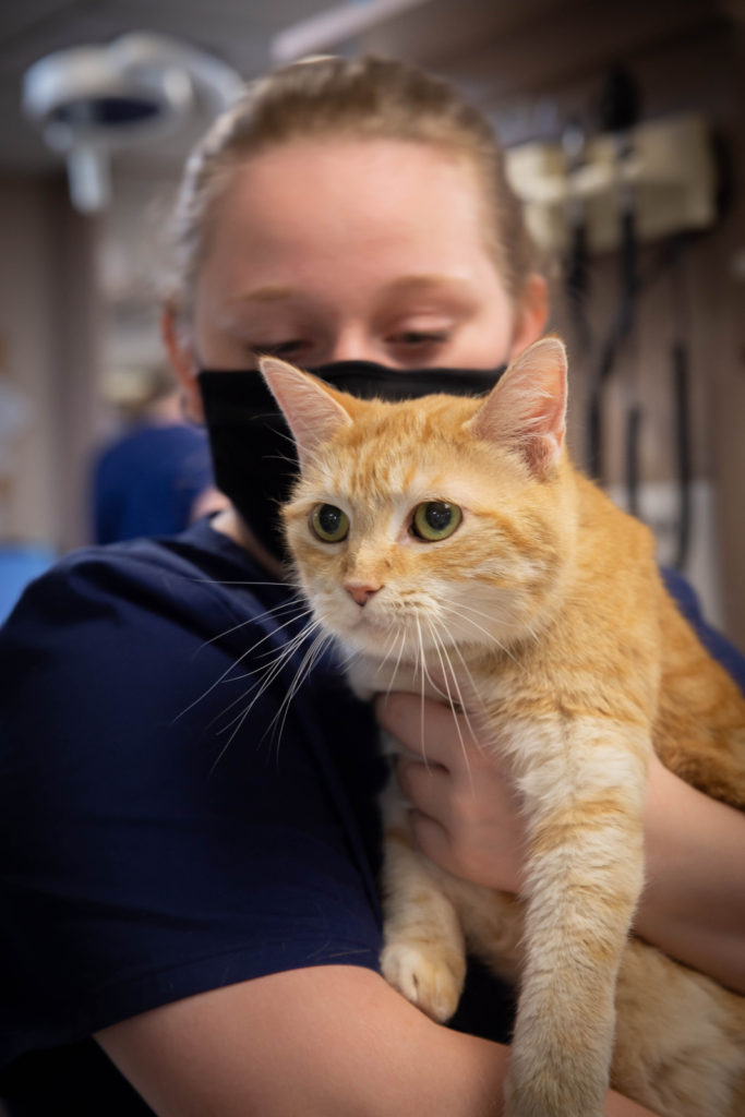 Rainier Animal Fund In-Service Clinic July 24, 2021