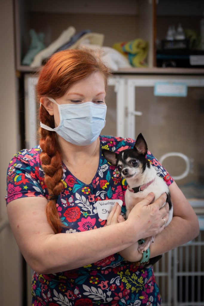 Rainier Animal Fund In-Service Clinic July 24, 2021