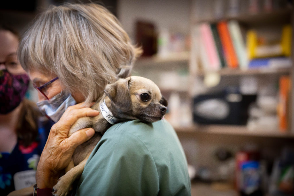 Rainier Animal Fund In-Service Clinic July 24, 2021
