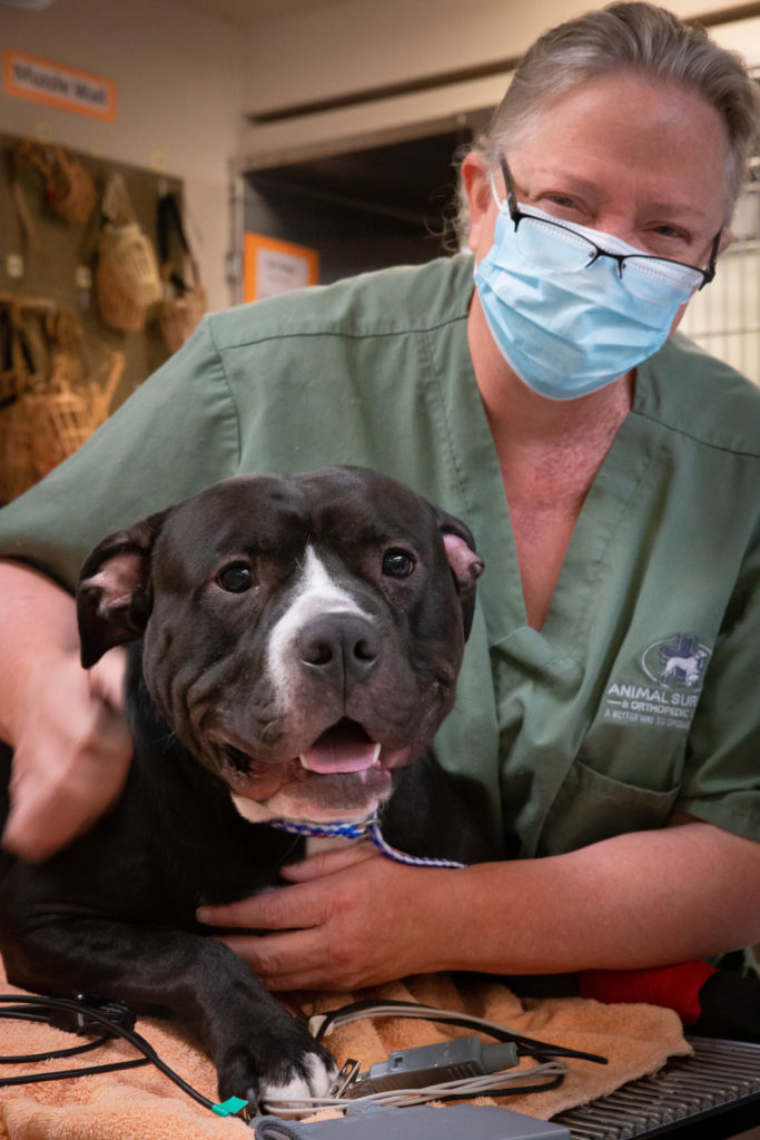 Rainier Animal Fund In-Service Clinic July 24, 2021
