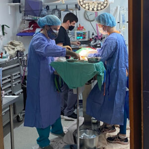 Rainier Animal Fund Success Story Odin 