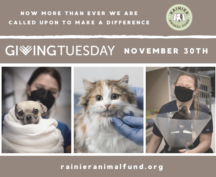Rainier Animal Fund Giving Tuesday 2021