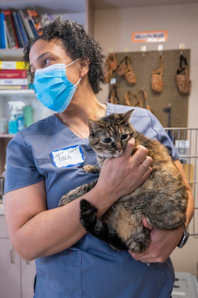 Rainier Animal Fund Volunteers