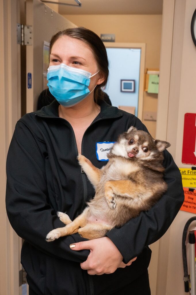 Rainier Animal Fund Volunteers