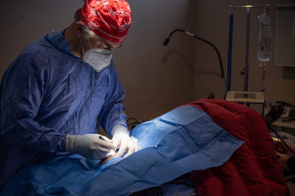 Rainier Animal Fund Volunteer