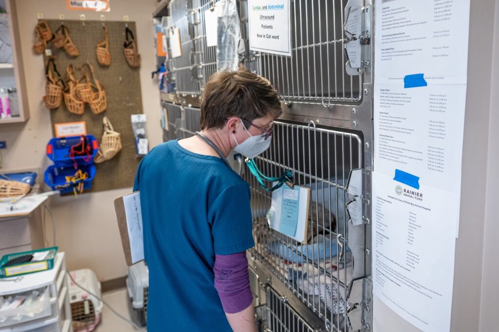 Rainier Animal Fund Volunteer