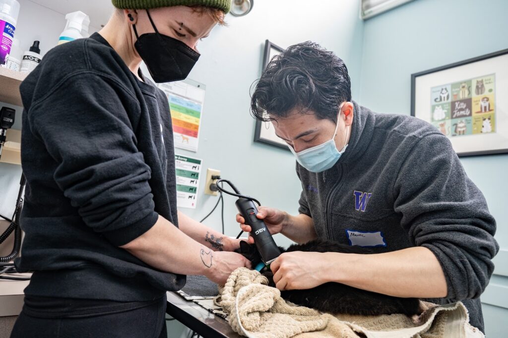 Rainier Animal Fund Volunteer