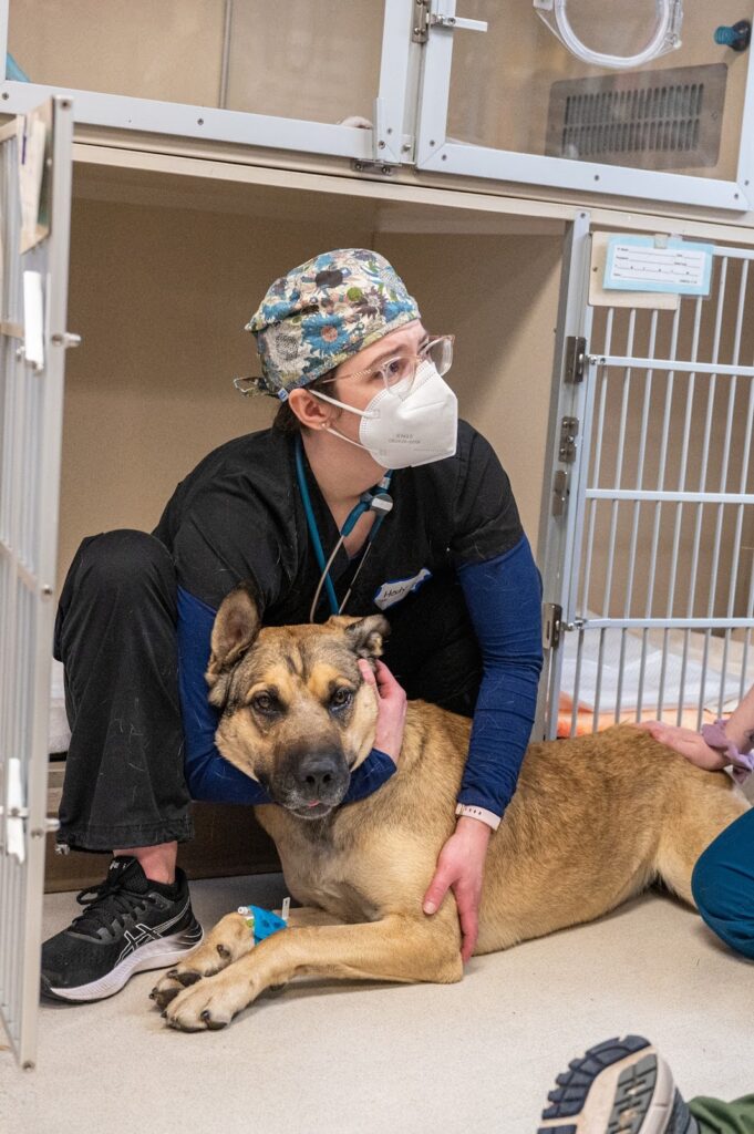 Rainier Animal Fund Volunteers