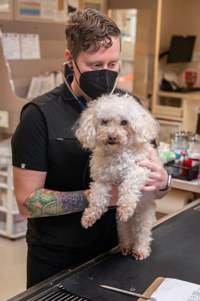 Rainier Animal Fund Volunteers