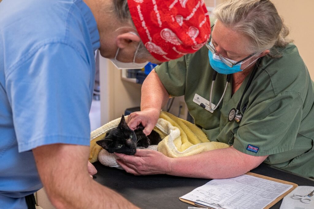 Rainier Animal Fund Volunteers