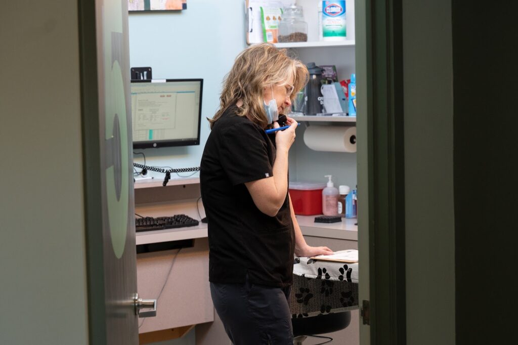 Rainier Animal Fund Volunteer