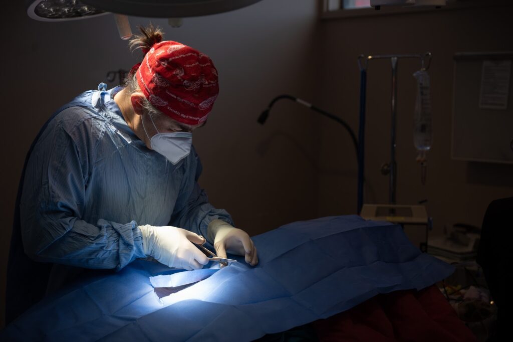 Rainier Animal Fund Volunteer