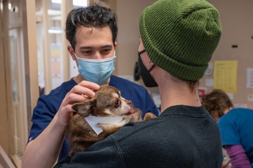 Rainier Animal Fund Volunteer