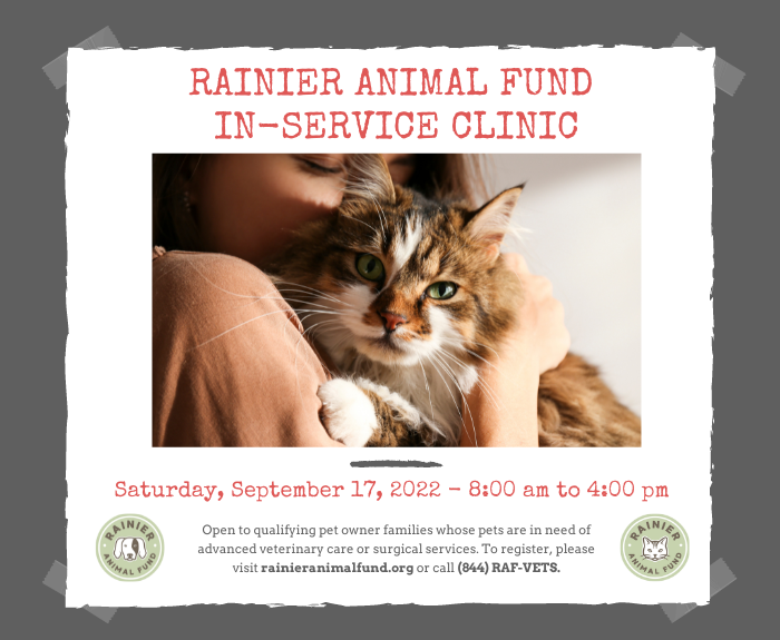 RAF In-Service Clinic