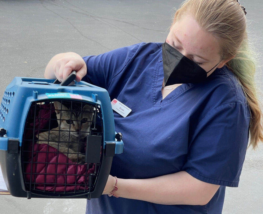 Rainier Animal Fund September Clinic