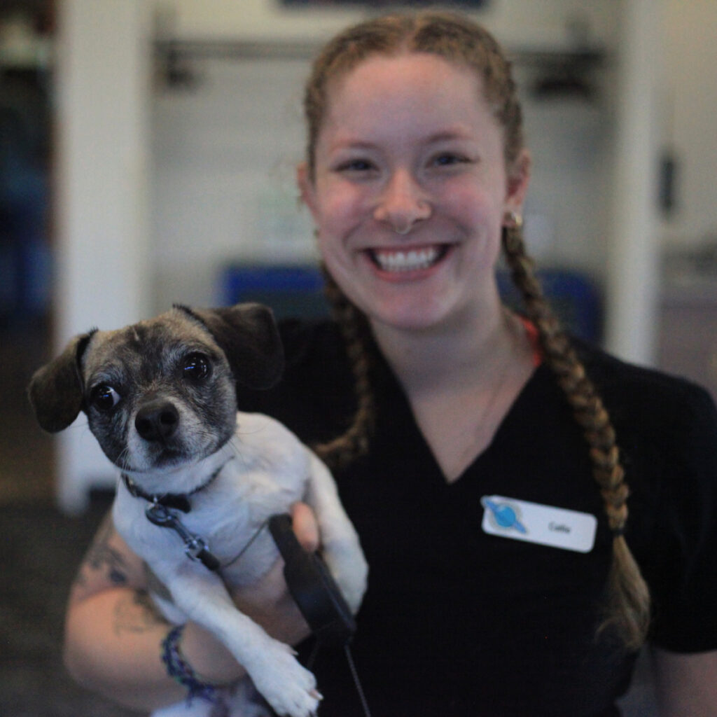 Bothell Pet Vaccine Clinic October 13, 2022