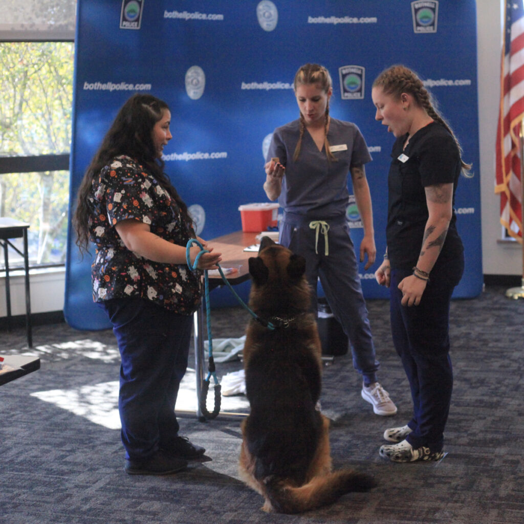 Bothell Pet Vaccine Clinic October 13, 2022