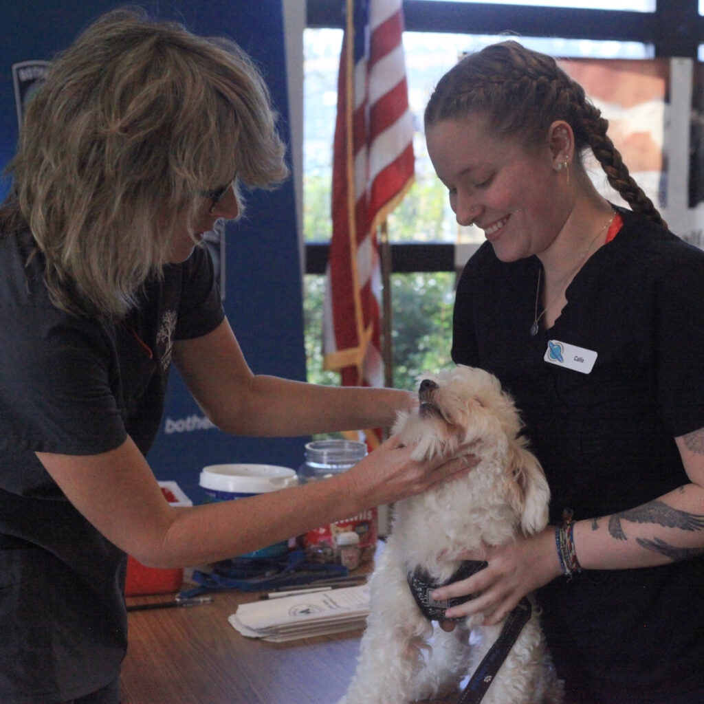 Bothell Pet Vaccine Clinic October 13, 2022