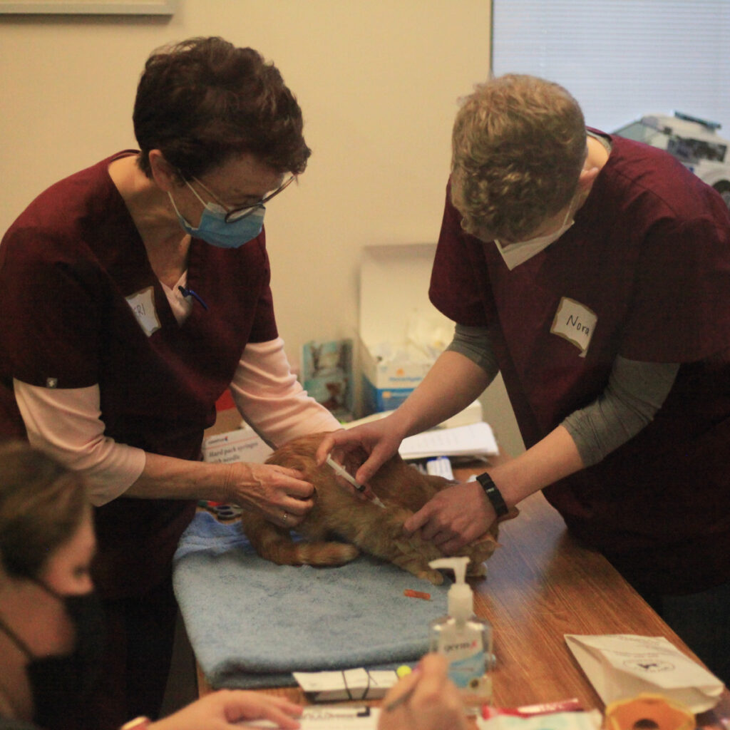 Bothell Pet Vaccine Clinic October 13, 2022