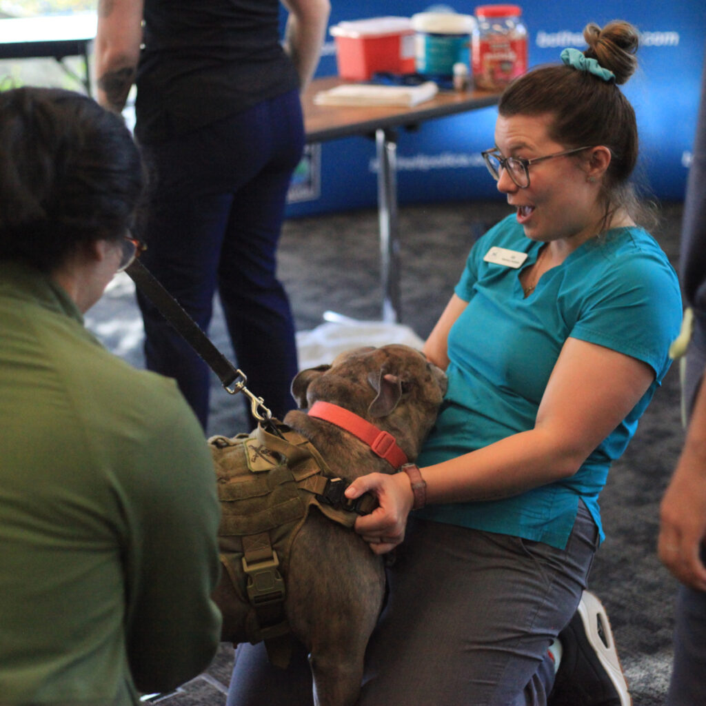 Bothell Pet Vaccine Clinic October 13, 2022