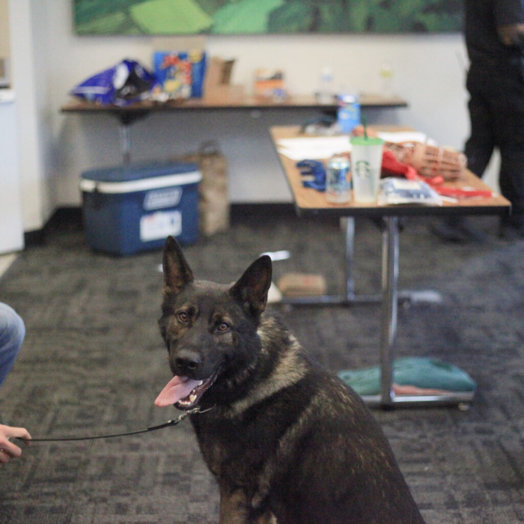 Bothell Pet Vaccine Clinic October 13, 2022